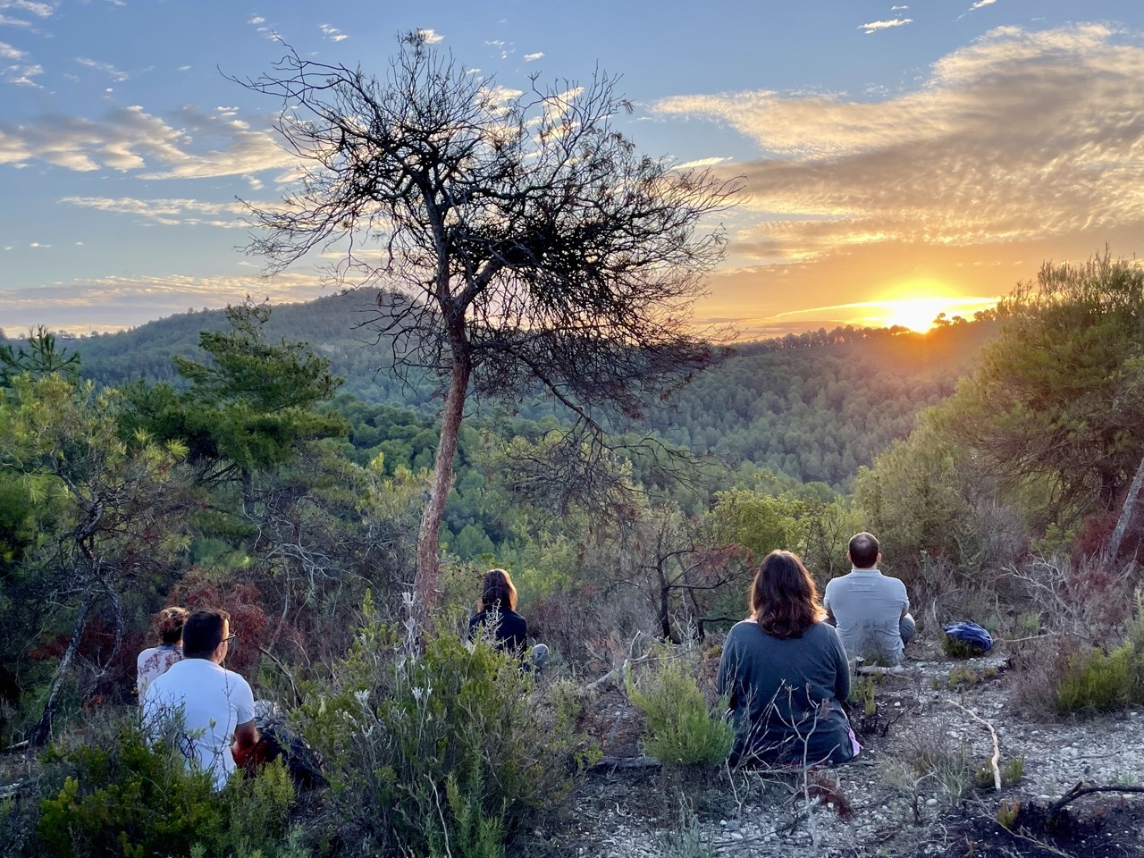 Sortida sol Barraques